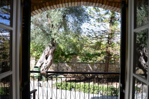 Woonvoorbeeld 4-kamerappartement