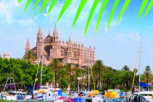 Bingo Appartementen 3*