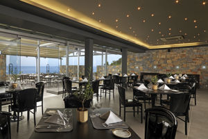 Out of the Blue Resort