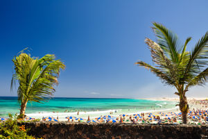 Bingo Fuerteventura 4*