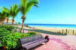 Bingo Fuerteventura 4*