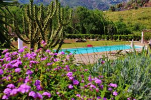 Fly & Go Edone Agriturismo