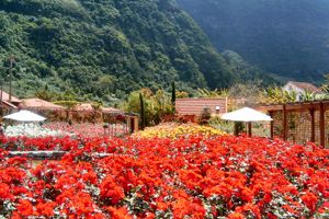 Fly & Go Pestana Quinta do Arco Nature & Rose Garden Resort 