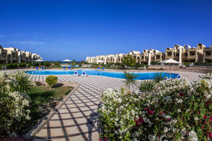 Gravity Sahl Hasheesh