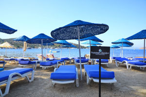 Summer Garden Suites & Beach