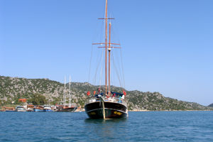 Blue Cruise & Terrace Elite