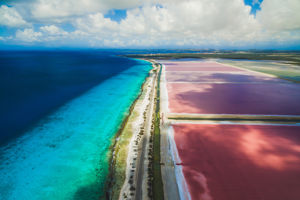 Bingo Bonaire 4* All Inclusive