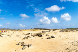 Bingo Bonaire 4* All Inclusive