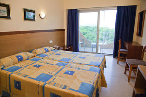 Playasol Palma Cactus