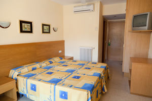 Playasol Palma Cactus