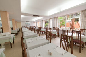 Playasol Palma Cactus