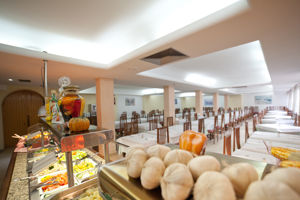 Playasol Palma Cactus