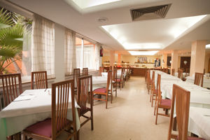 Playasol Palma Cactus