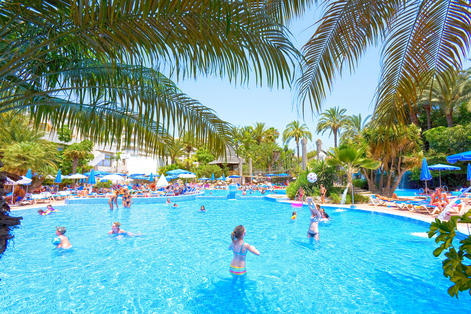 Best Tenerife - billede 3