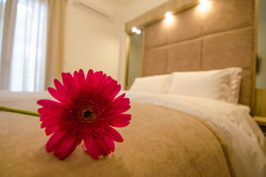 Woonvoorbeeld 2-kamerappartement superior