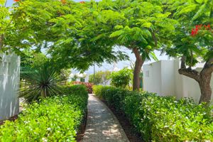 Cordial Sandy Golf Bungalows