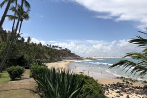 Excursiereis Brazilië