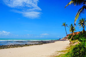 Excursiereis Brazilië