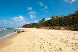Excursiereis Brazilië