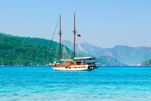 Blue Cruise & Side Mare