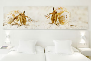 Iberostar Waves Cristina