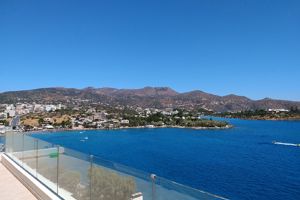 Citrus Luxurius Apartment