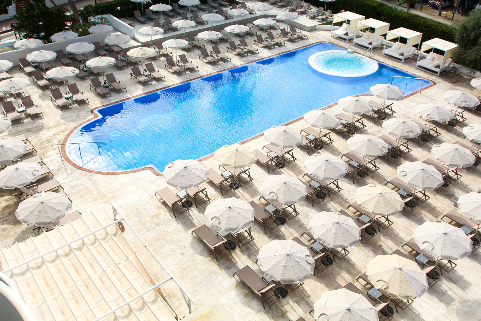 Sentido Fido Tucan slide 2