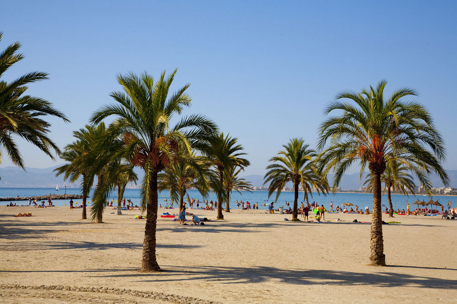 Whala Beach billede 4