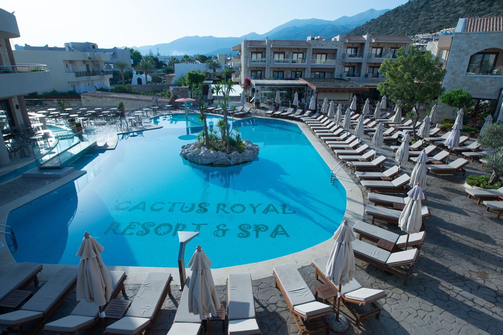 Cactus Royal slide 2