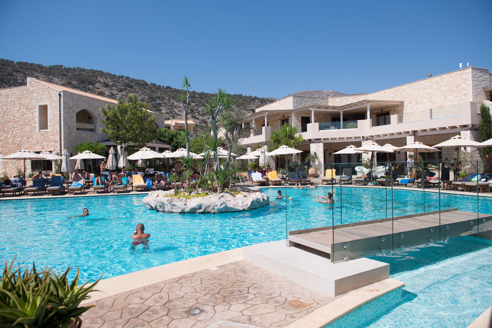 Cactus Royal billede 3