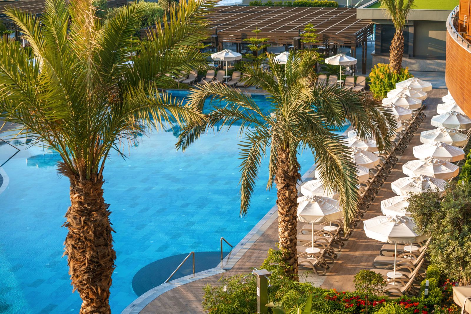 Kirman Premium Calyptus slide 5