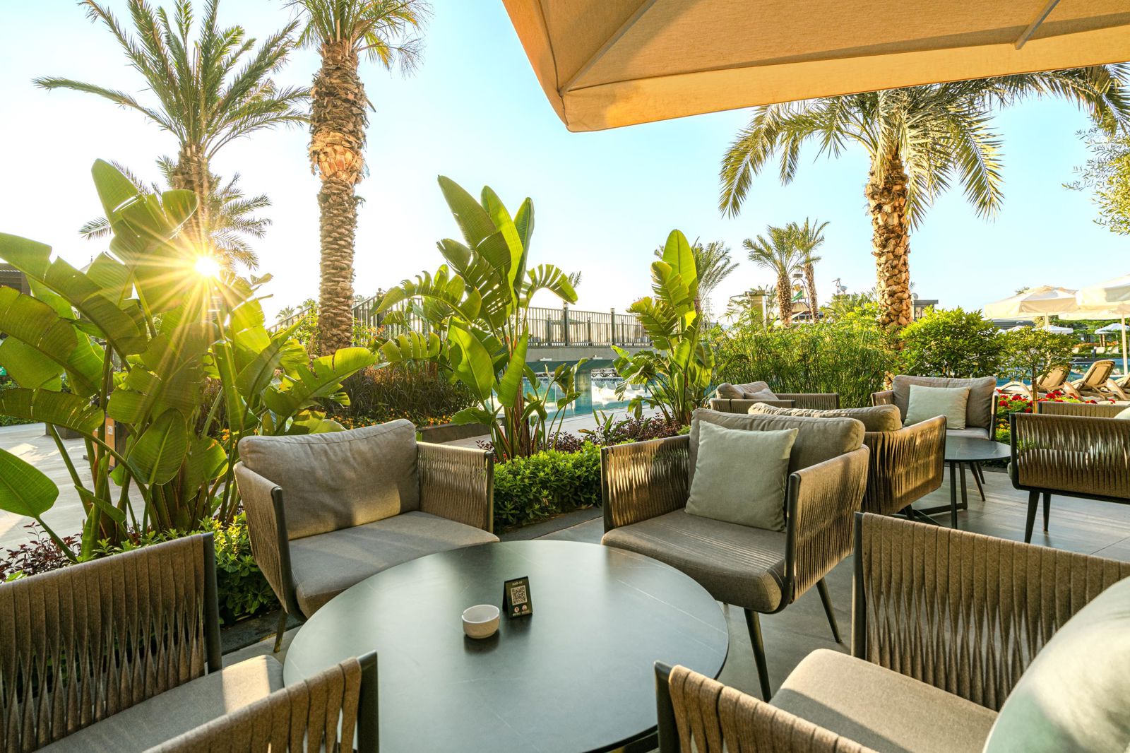 Kirman Premium Calyptus billede 5