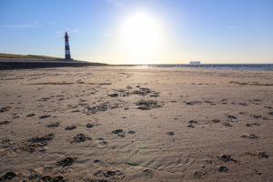 EuroParcs Schoneveld