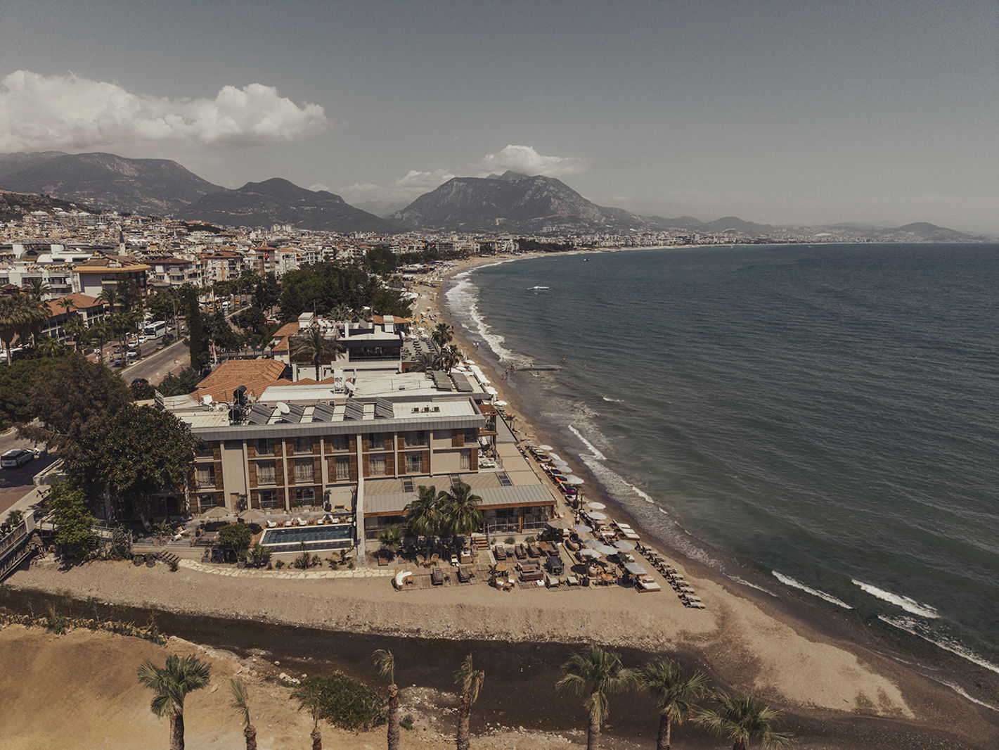 En Vie Beach slide 2