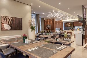 Hilton Garden Inn Dubai Al Jadaf